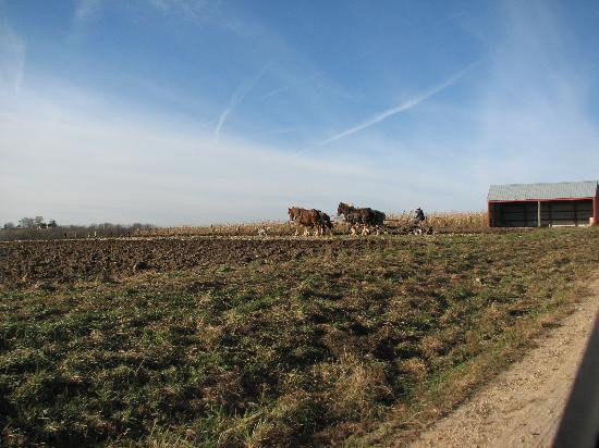 Inn at Lonesome Hollow主图