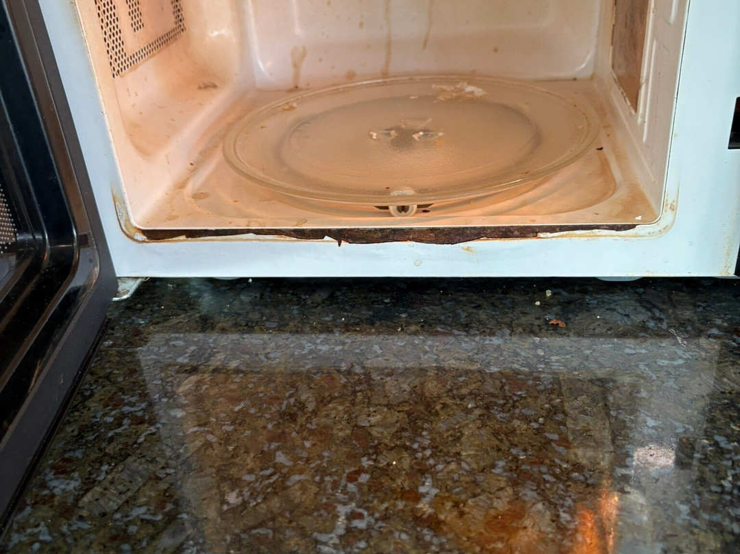 芝加哥麋鹿林村假日酒店主图