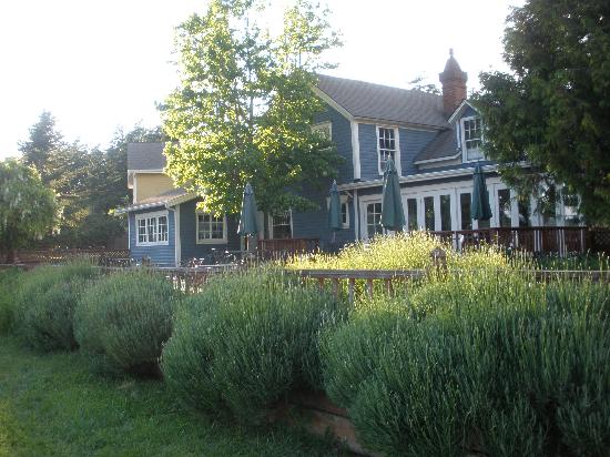 Inn At Ship Bay-餐饮
