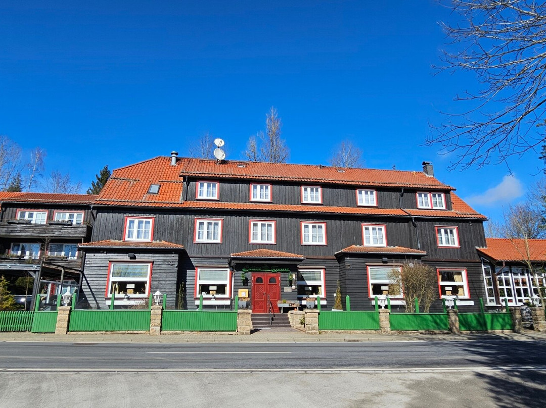 Mandelholz Hotel Grüne Tanne主图