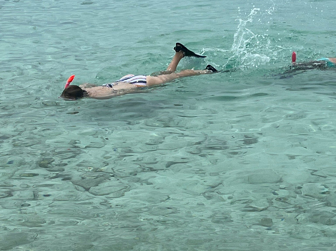 Bight Reef (Coral Gardens)-普罗维登西亚莱斯必去景点