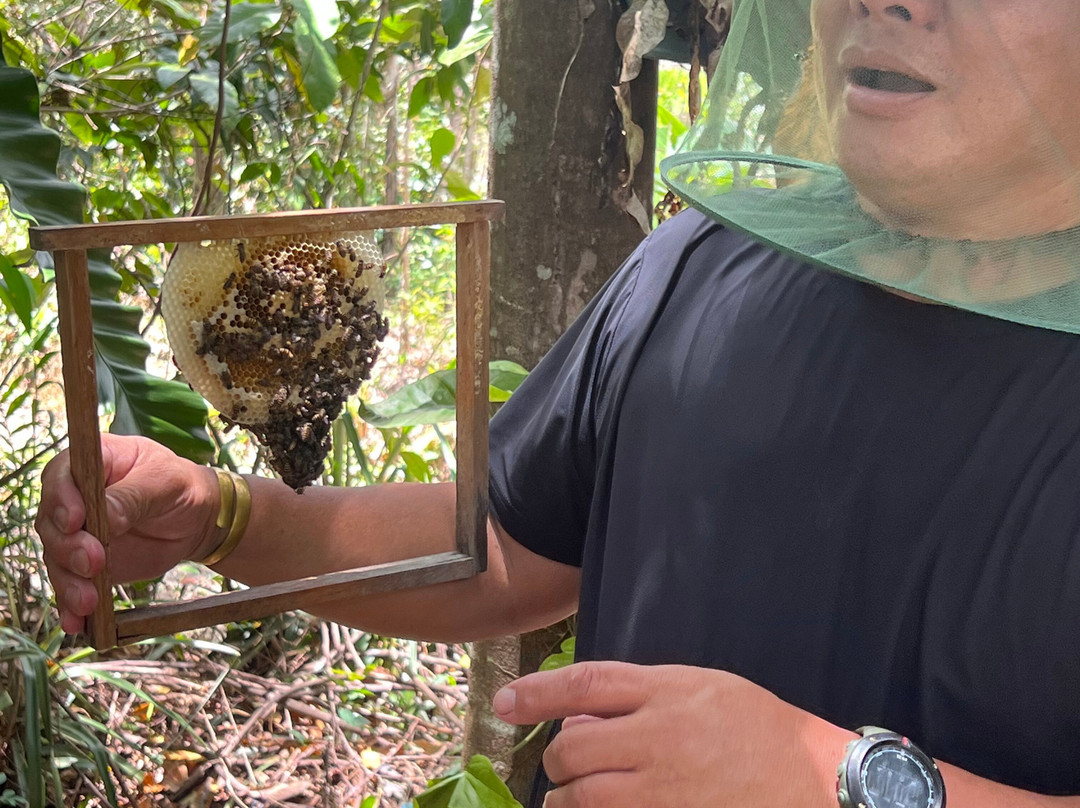 Gombizau Honey Bee Farm-古达必去景点