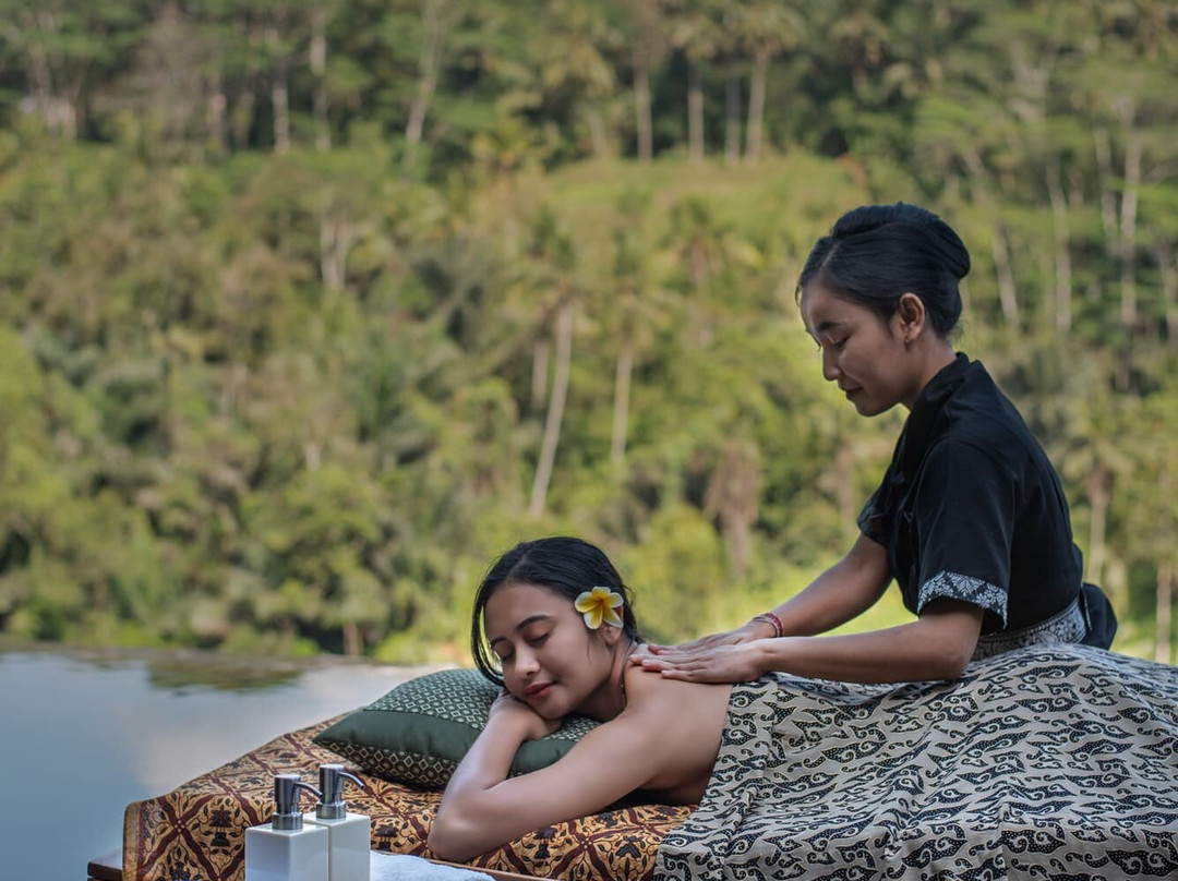 乌布黑派尼别墅酒店主图
