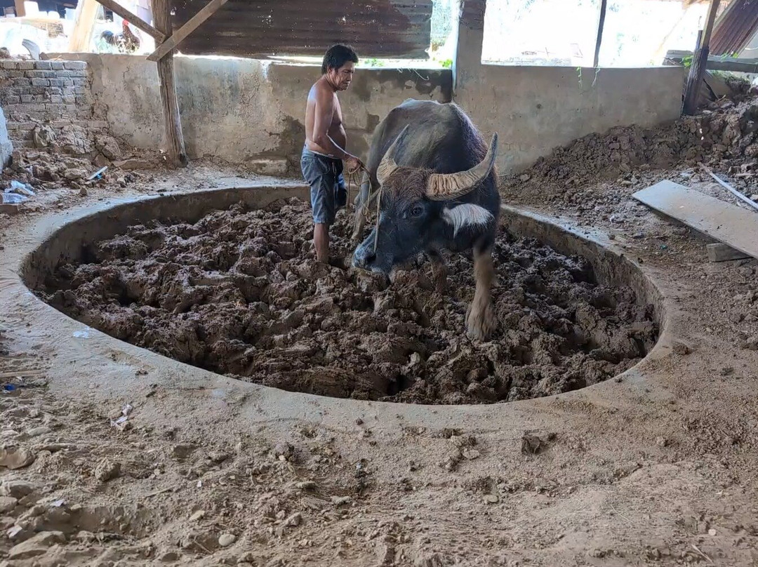 RG Jar Factory-维甘必去景点