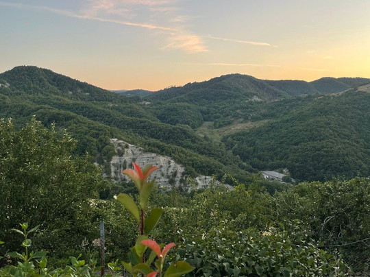 Agriturismo La Contessa Quarter Horse主图