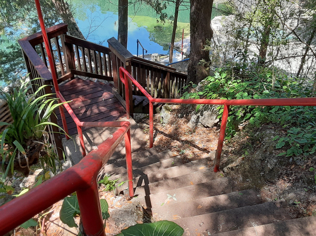 Cedar Lakes Woods & Gardens景点图片