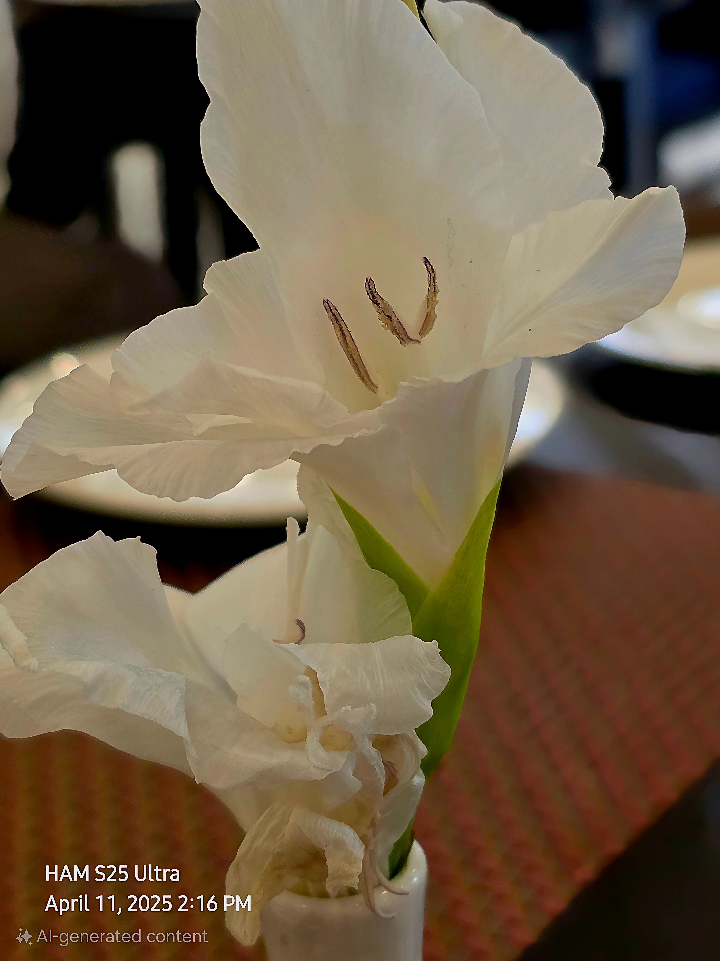 Hotel Hillview Islamabad-官方