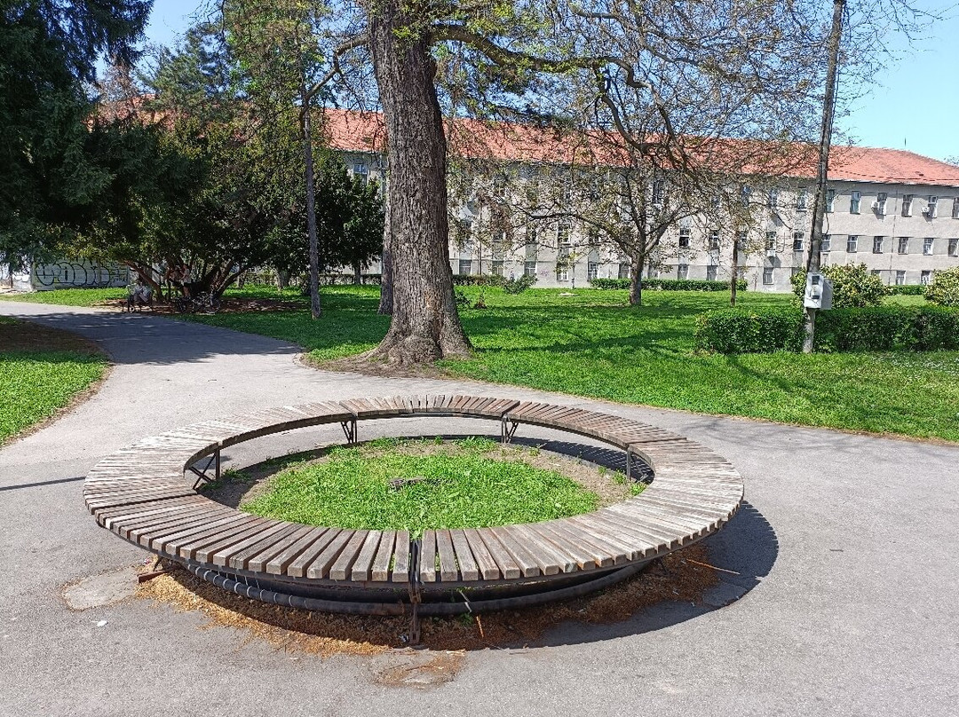 Zemunski Park景点图片