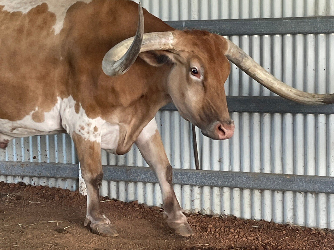 Up The Creek Garage-Roma必去景点