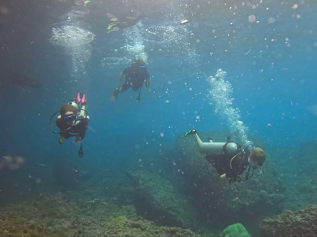 夏基潜水中心-卡伦必去景点