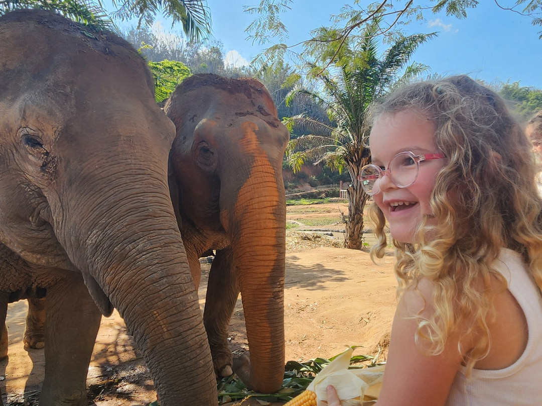 Elephant Steps Chiang Rai-清莱必去景点