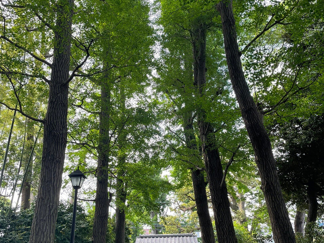 Ootaguro Park-Ogikubo必去景点