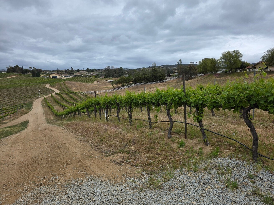 Danza del Sol Winery-特曼库拉必去景点