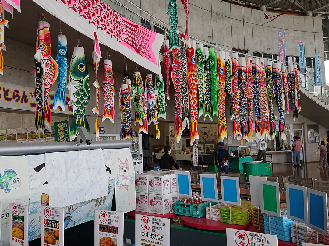 Kazo Miraikan-加须市必去景点