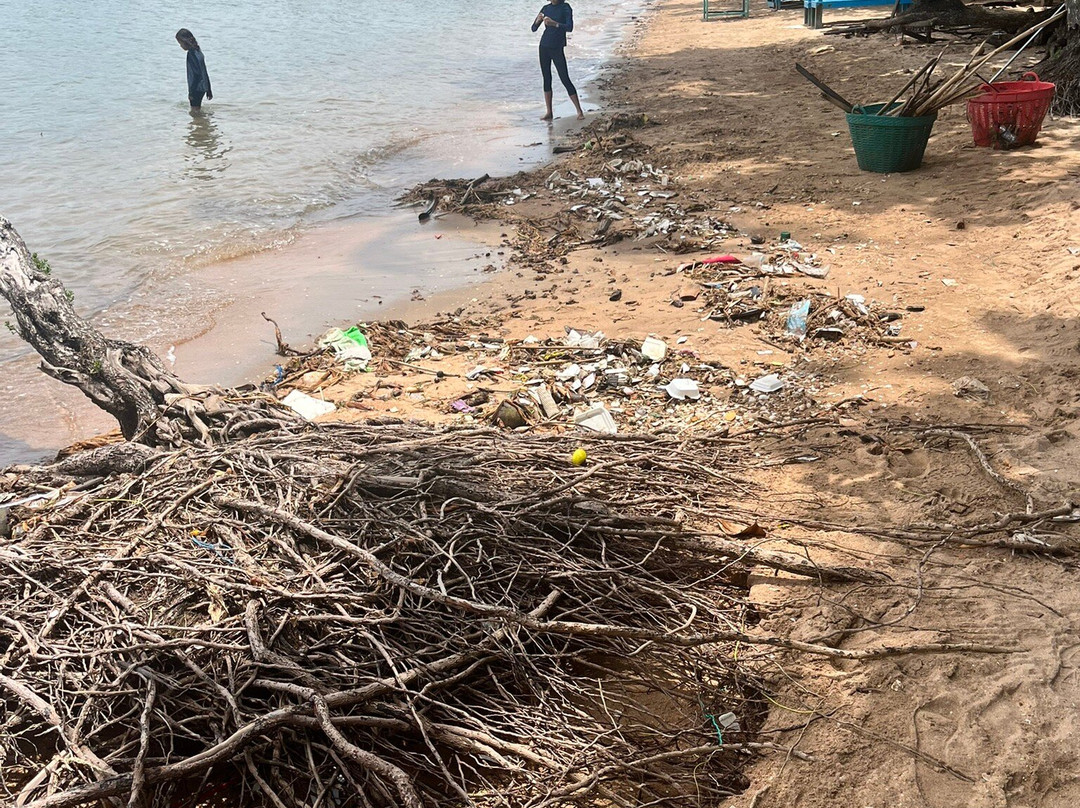 Koh Tonsay (Rabbit Island)-白马必去景点