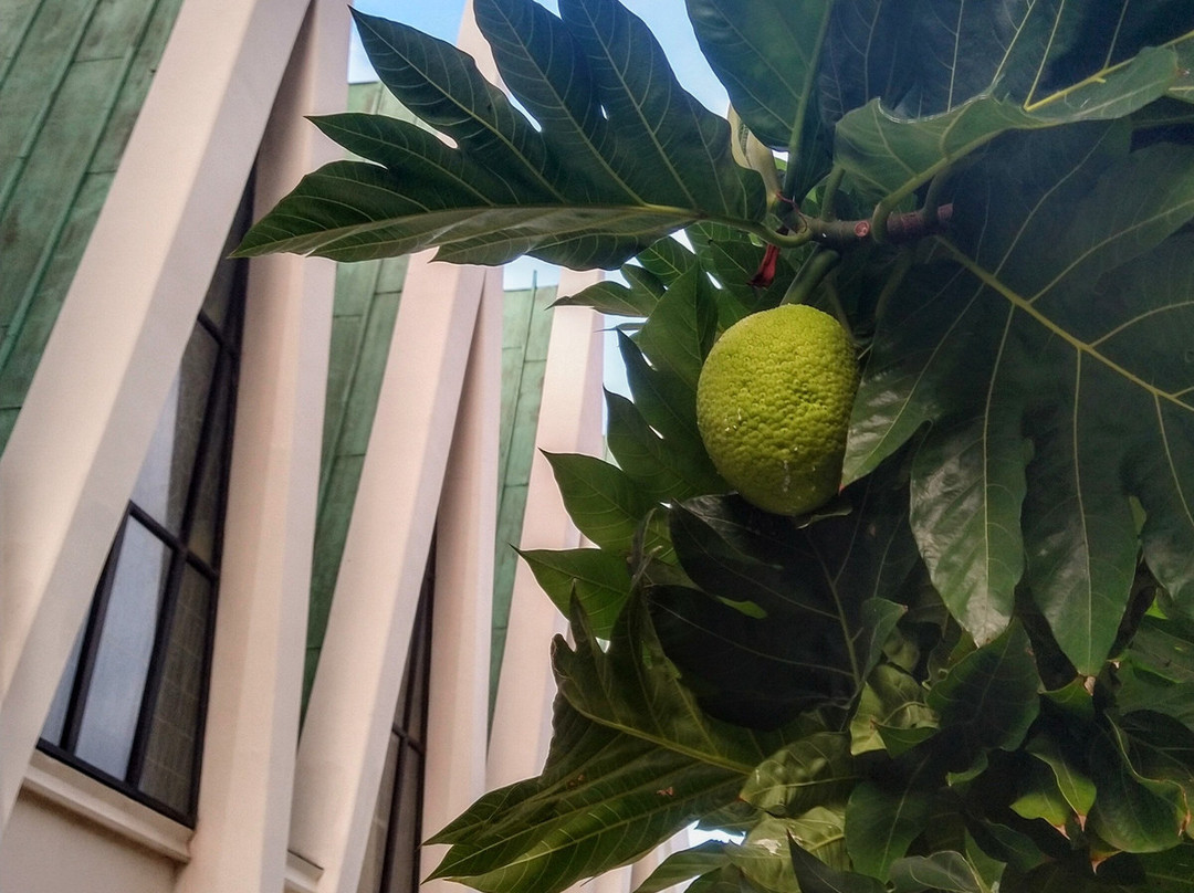 圣奥古斯丁教堂-火奴鲁鲁必去景点