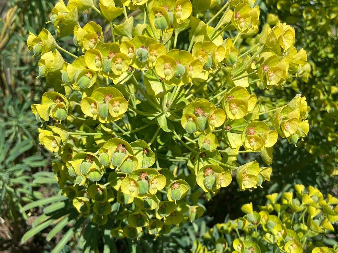 West Acre Gardens-West Acre必去景点