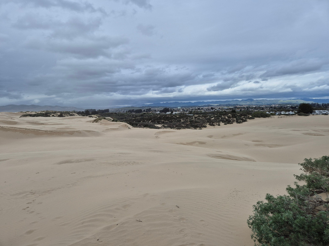 Oceano Dunes Natural Preserve景点图片