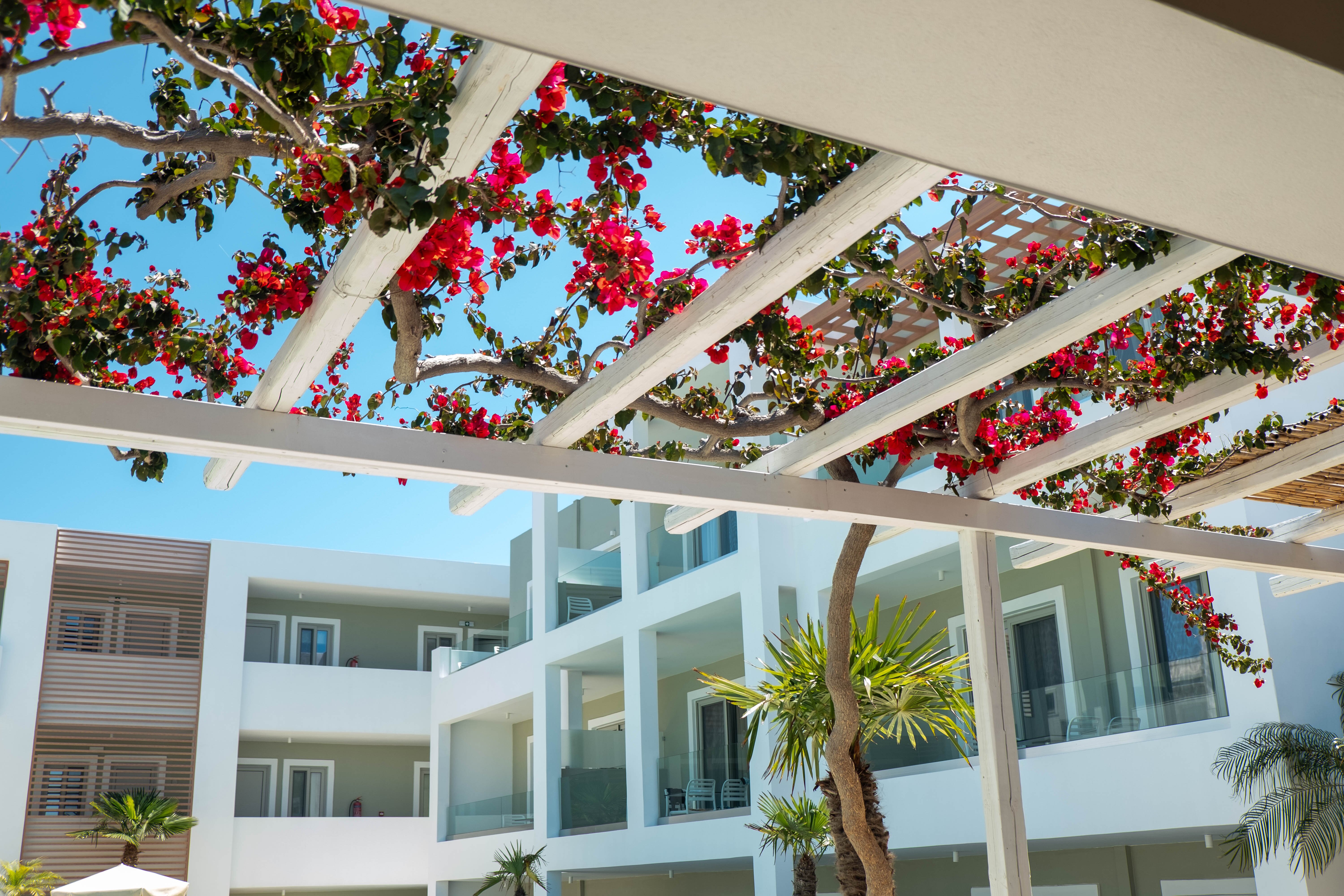 Mythos Suites Hotel-官方
