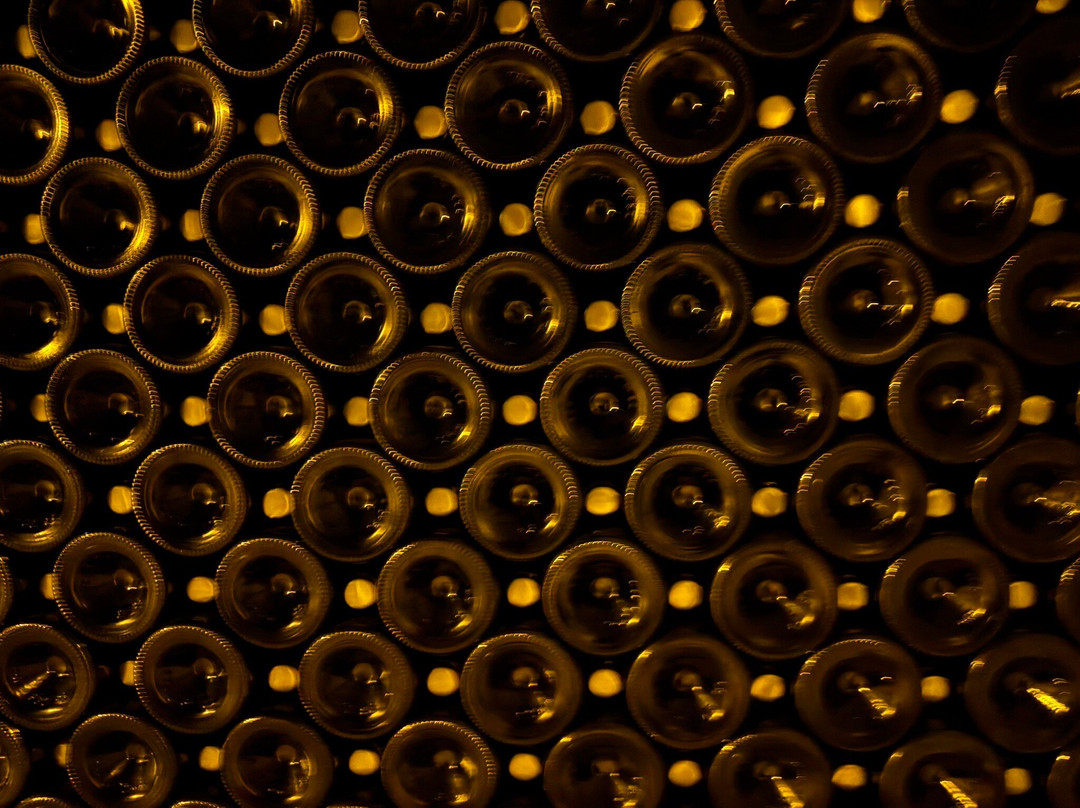 Champagne Taittinger-兰斯必去景点