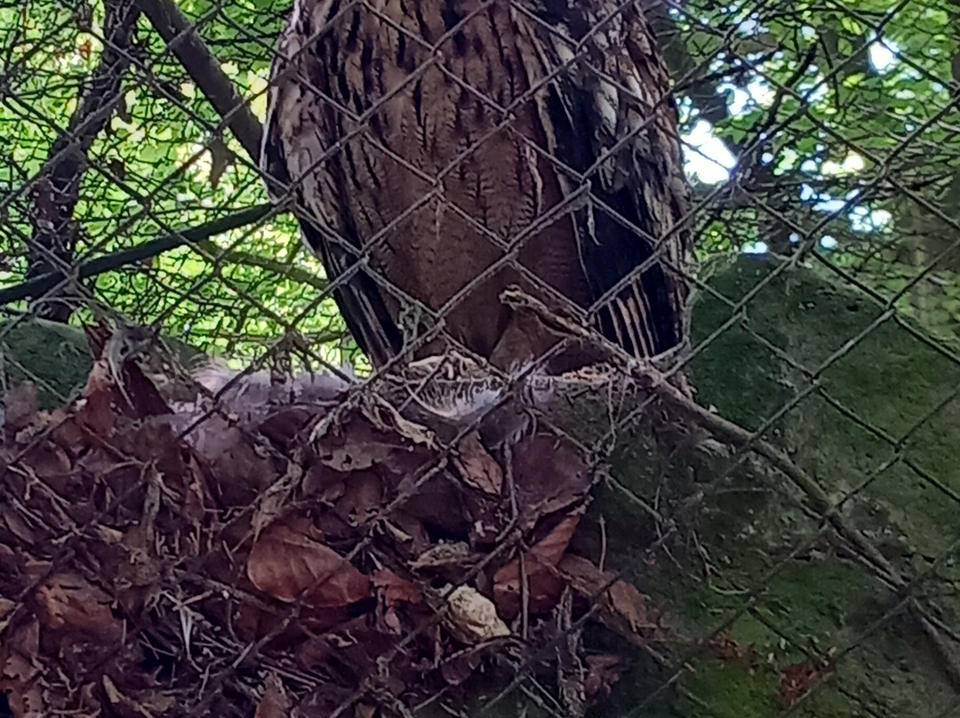Heimattiergarten Fürstenwalde-Furstenwalde必去景点