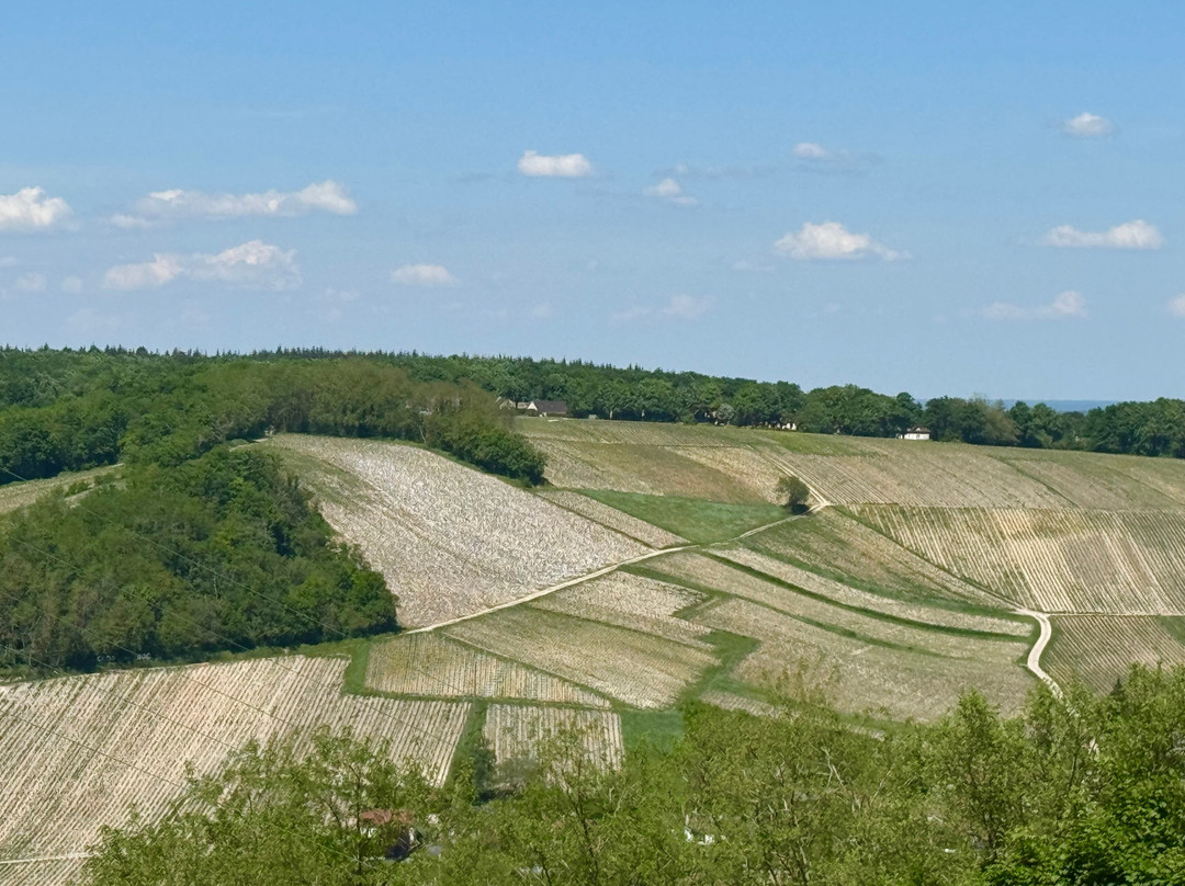 Château de Sancerre-桑塞尔必去景点
