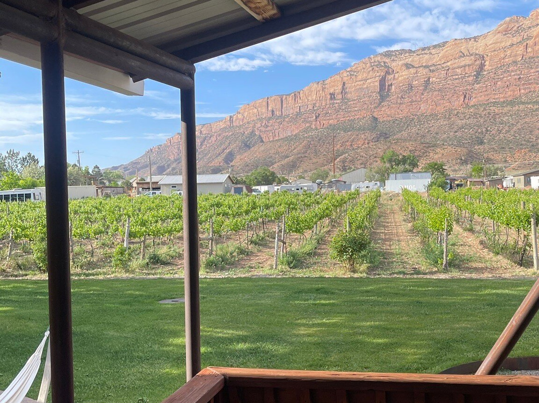Spanish Valley Vineyards and Winery-莫阿布必去景点