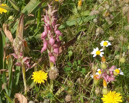 Hiking Rhodes-罗德斯必去景点