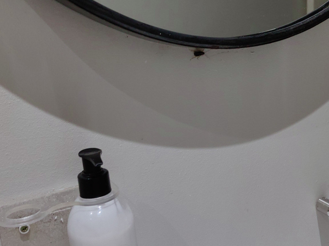 Loddey's Guest House主图