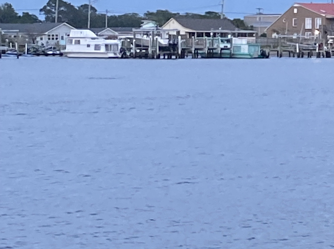 Lady Swan Boat Tours-Swansboro必去景点
