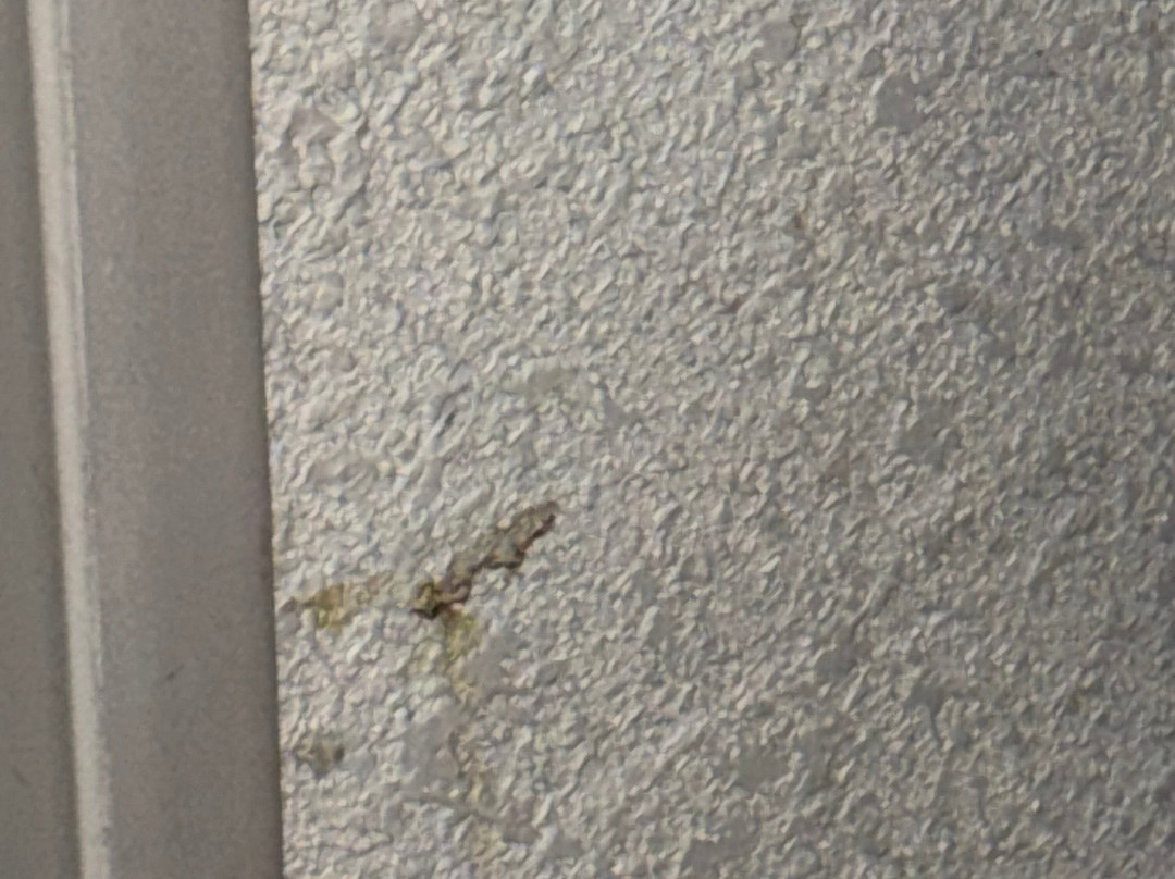 Super 8 by Wyndham Hillsboro TX主图