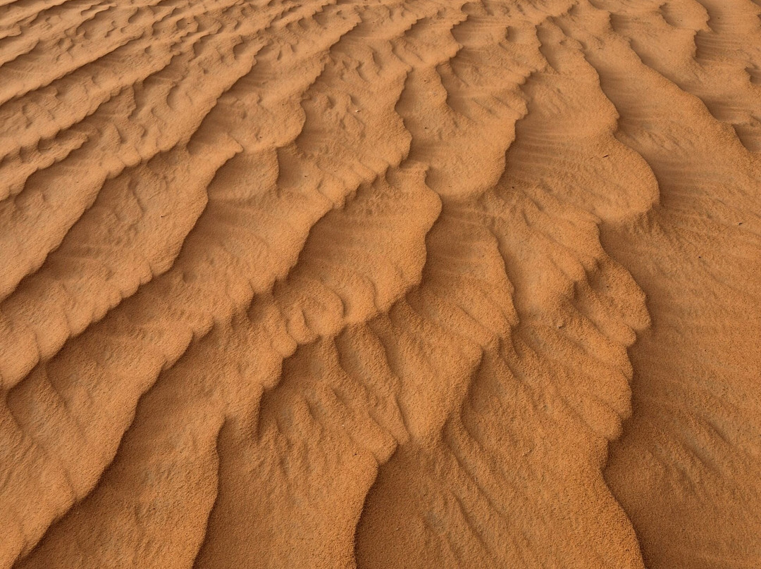 Mauritania Sahara-Boutilimit必去景点