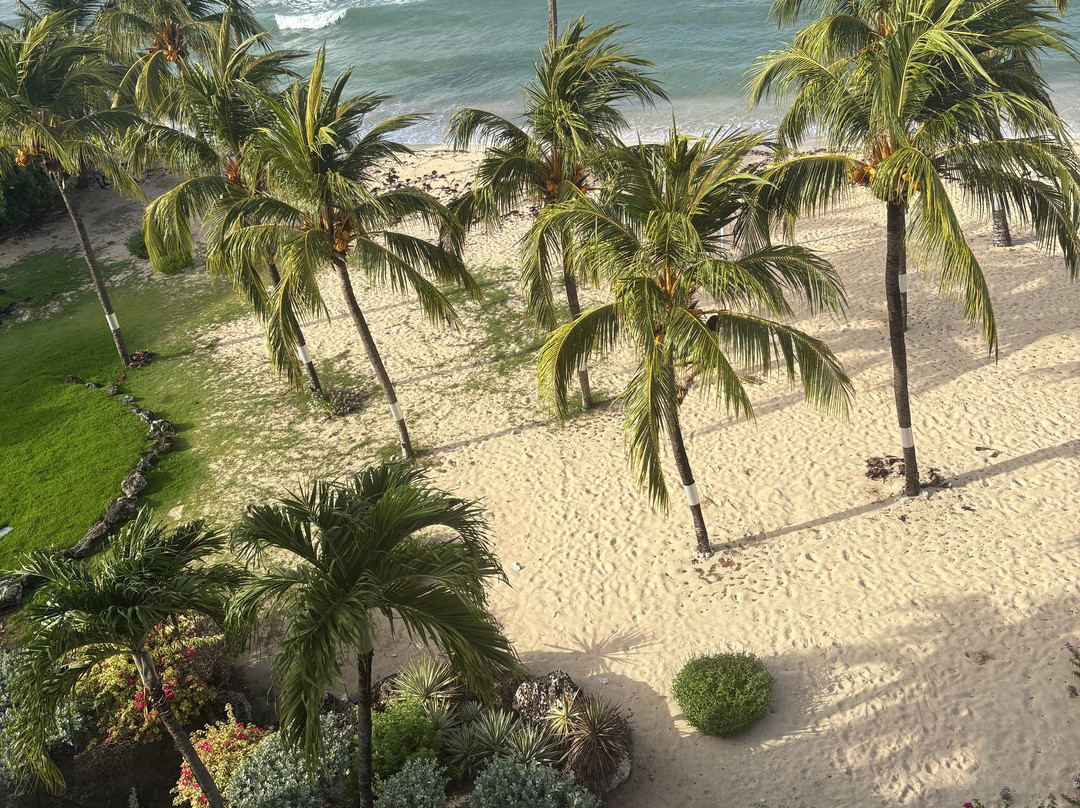 Coconut Court Beach Hotel主图