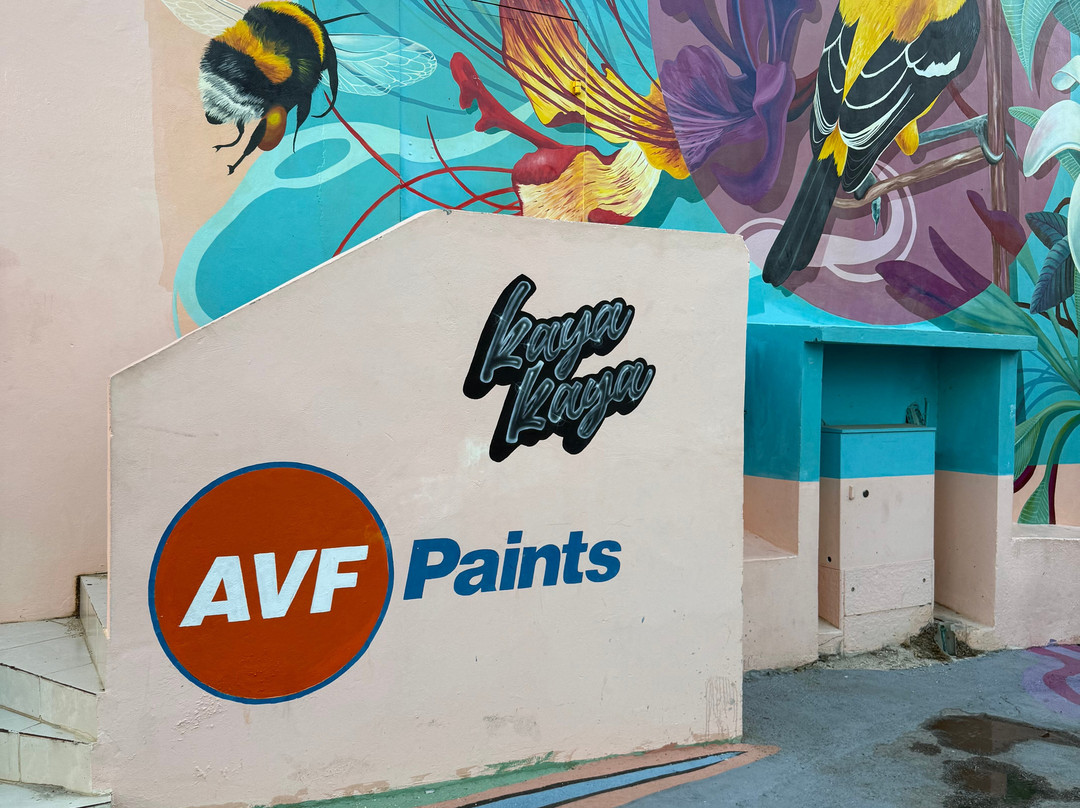 Rumba Tours Curaçao-威廉斯塔德必去景点