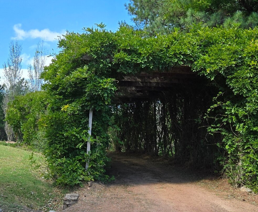 Jardín Japones Punta-Maldonado必去景点