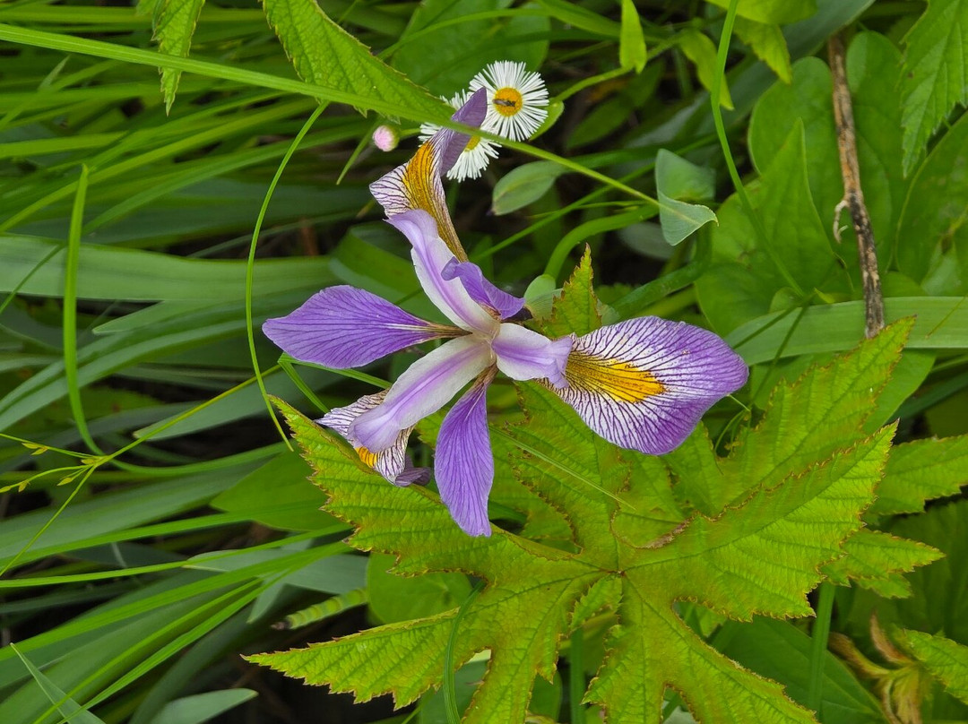 Aullwood Audubon-代顿必去景点
