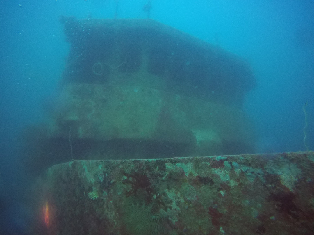 Whitetip Marine Adventures - Fiji-丹娜努岛必去景点