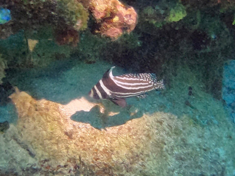 Puerto Aventuras Water Sports-阿范特拉斯港必去景点