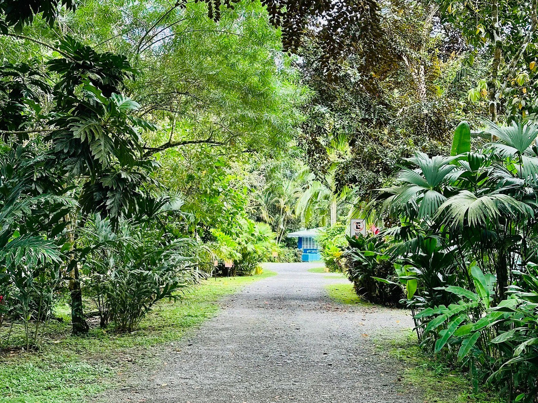 Manzanillo Caribbean Resort主图