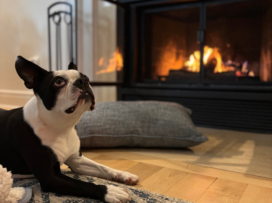 Gîte La Maison Bleue - Dunham主图