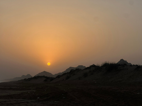 Mangrove Forest in Chabahar-Chabahar必去景点