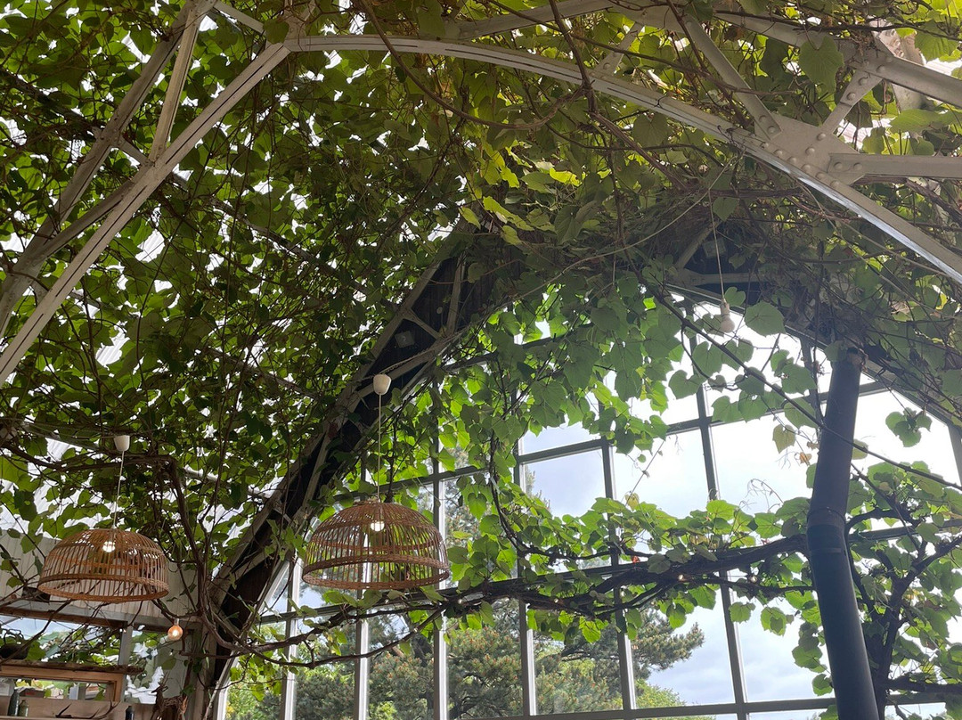 Isle of Mull Cheese-Tobermory必去景点