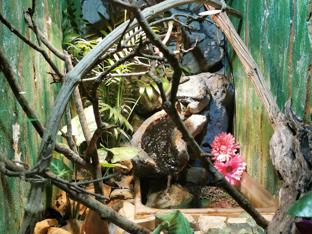 Aquarium Terrarium-克尔克必去景点
