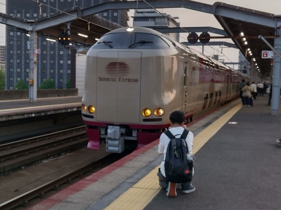 Twin Leaves Hotel Izumo主图