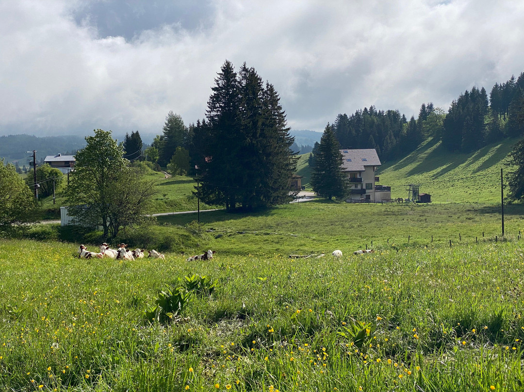 Hotel Le Trappeur主图