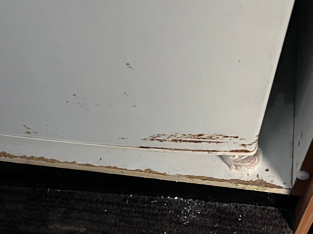 悉尼兰斯维尔宜必思尚品酒店主图