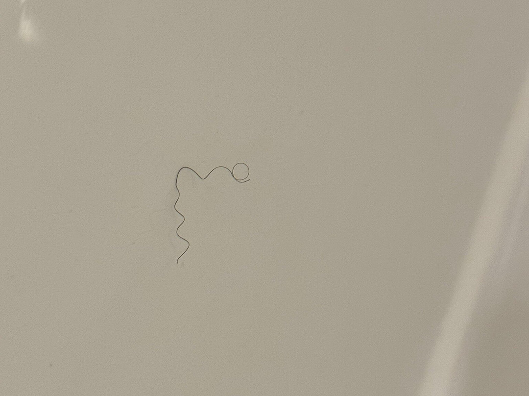 普瑞米尔哈洛酒店主图