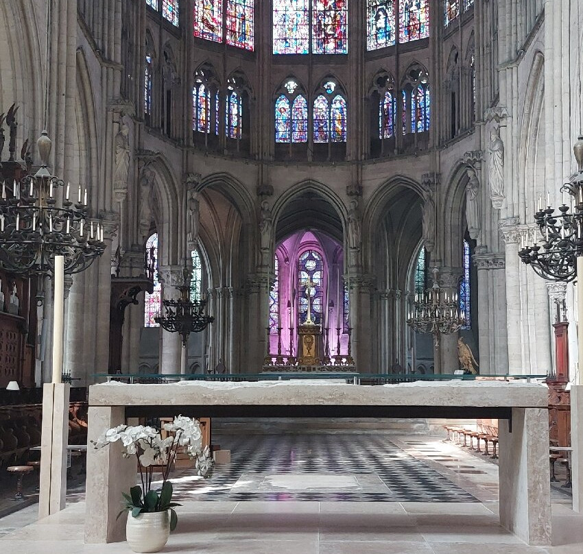 Cathédrale Saint-Pierre-et-Saint-Paul景点图片
