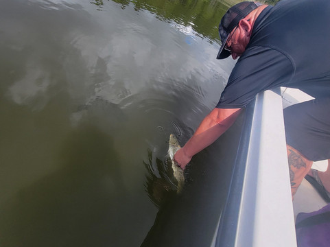 Brown's Inshore Guide Service-橙色海湾必去景点