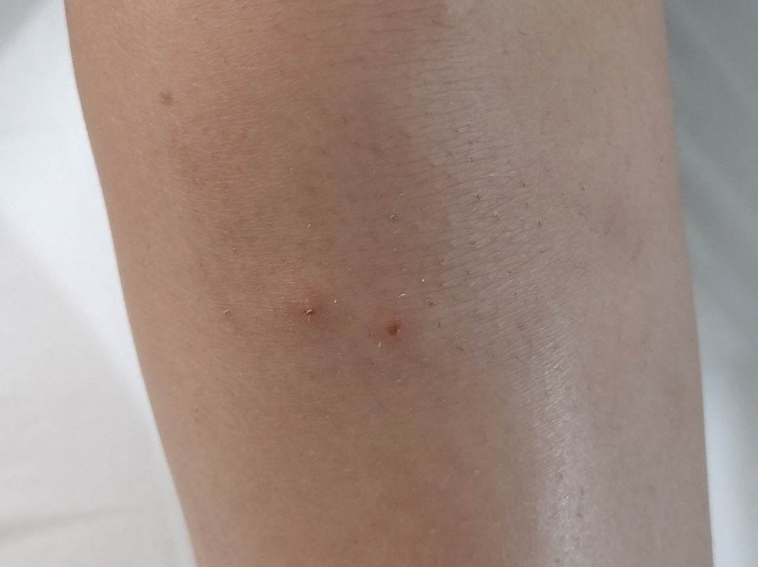 Best Western Executive Inn主图